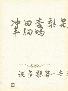 冲田杏梨是手术丰胸吗