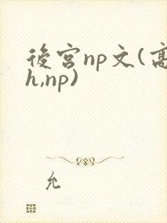 后宫np文(高h,np)