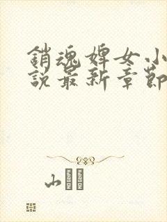 销魂婢女小桃小说最新章节