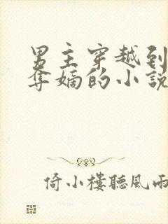 男主穿越到九子夺嫡的小说封面