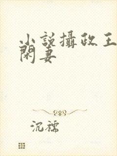 小说摄政王的小闲妻