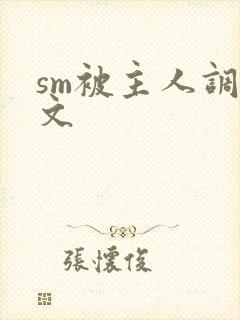 sm被主人调教文封面
