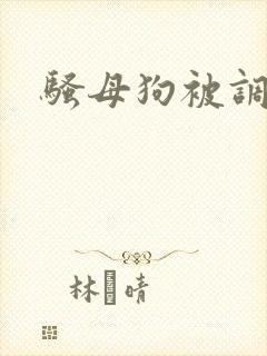 骚母狗被调教h