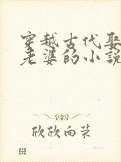 穿越古代娶很多老婆的小说封面