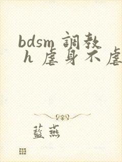 bdsm 调教 h 虐身不虐心 小甜文1v1