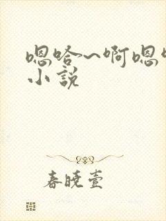 嗯哈~啊嗯啊～小说