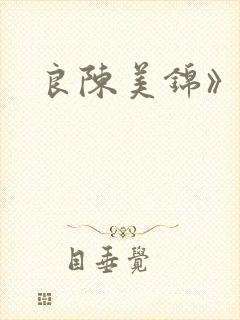 良陈美锦》封面