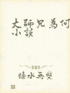 大师兄为何这样小说