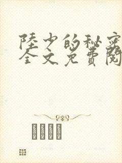 陆少的秘密恋人全文免费阅读封面