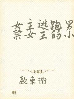 女主逃跑男主囚禁女主的小说