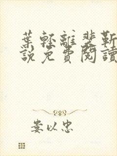 叶轻离裴靳墨小说免费阅读无弹窗