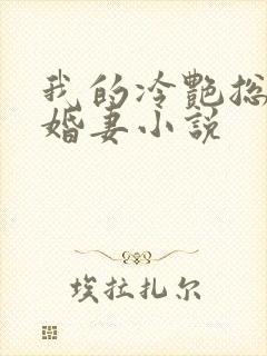 我的冷艳总裁未婚妻小说