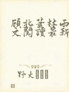 顾北萧林雨菲全文阅读最新章节更新