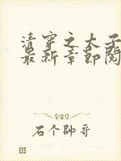 清穿之太子娇妃最新章节阅读