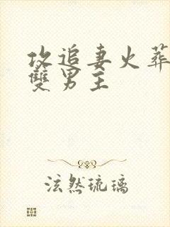 攻追妻火葬场的双男主