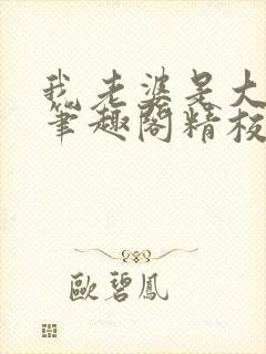 我老婆是大明星笔趣阁精校