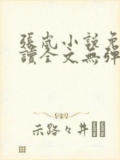 张岚小说免费阅读全文无弹窗