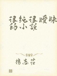 很纯很暧昧类似的小说