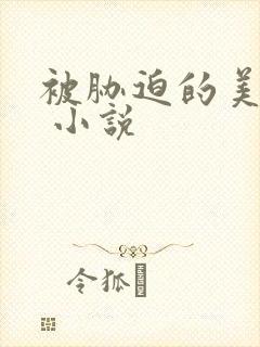 被胁迫的美少妇 小说封面