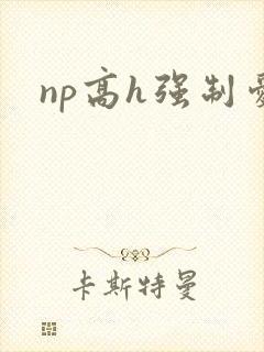 np高h强制爱