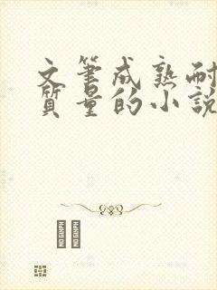 文笔成熟耐看高质量的小说言情