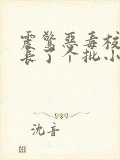 震惊恶毒校霸竟长了个批小说