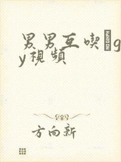 男男互吃鳮gay视频