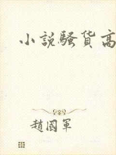 小说骚货高h