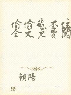 偷偷藏不住小说全文免费阅读番外