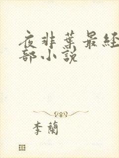 夜非叶最经典十部小说封面