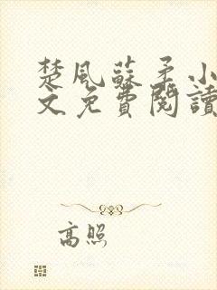 楚风苏柔小说全文免费阅读