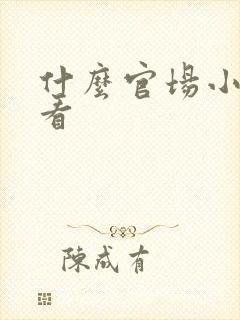 什么官场小说好看