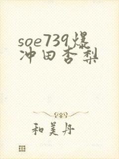 soe739爆冲田杏梨封面