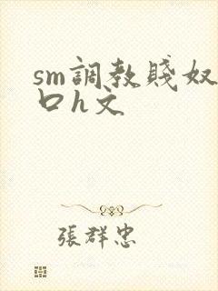 sm调教贱奴重口h文