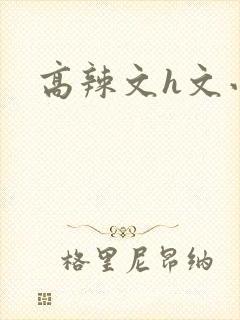 高辣文h文小说