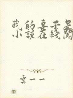 我的妻子是永美小说在线阅读