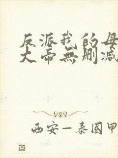 反派我的母亲是大帝无删减