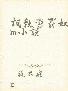 调教惩罚奴隶sm小说