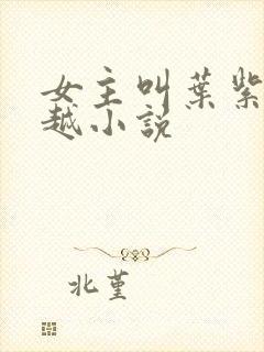 女主叫叶紫的穿越小说