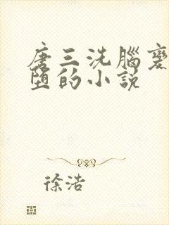 唐三洗脑变成雌堕的小说