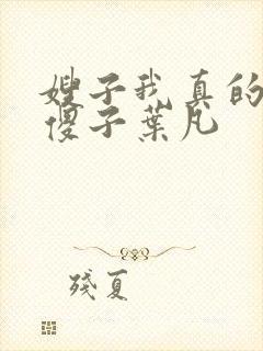 嫂子我真的不是傻子叶凡