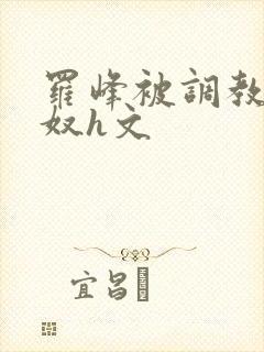 罗峰被调教成肉奴h文封面