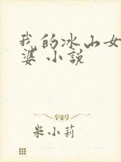 我的冰山女神老婆 小说