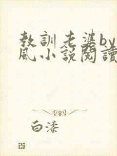 教训老婆by火风小说阅读封面