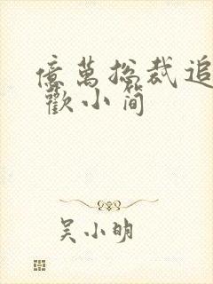 亿万总裁追妻忙 欢小简