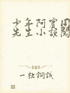 少年阿宾同人胡先生小说阅读