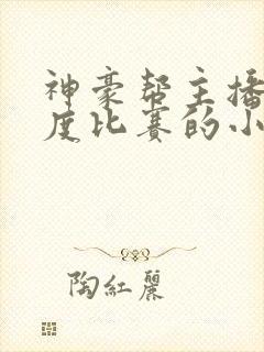 神豪帮主播打年度比赛的小说