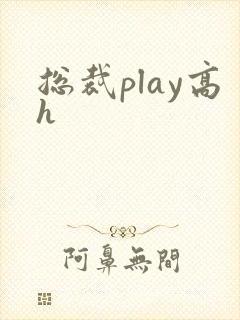 总裁play高h