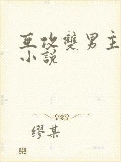 互攻双男主星际小说