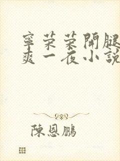 宁荣荣开腿让我爽一夜小说封面